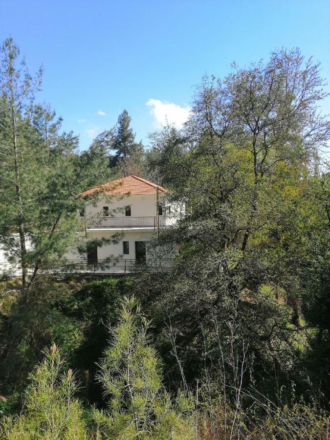 Villa Chrystellie Group à Plátres Extérieur photo